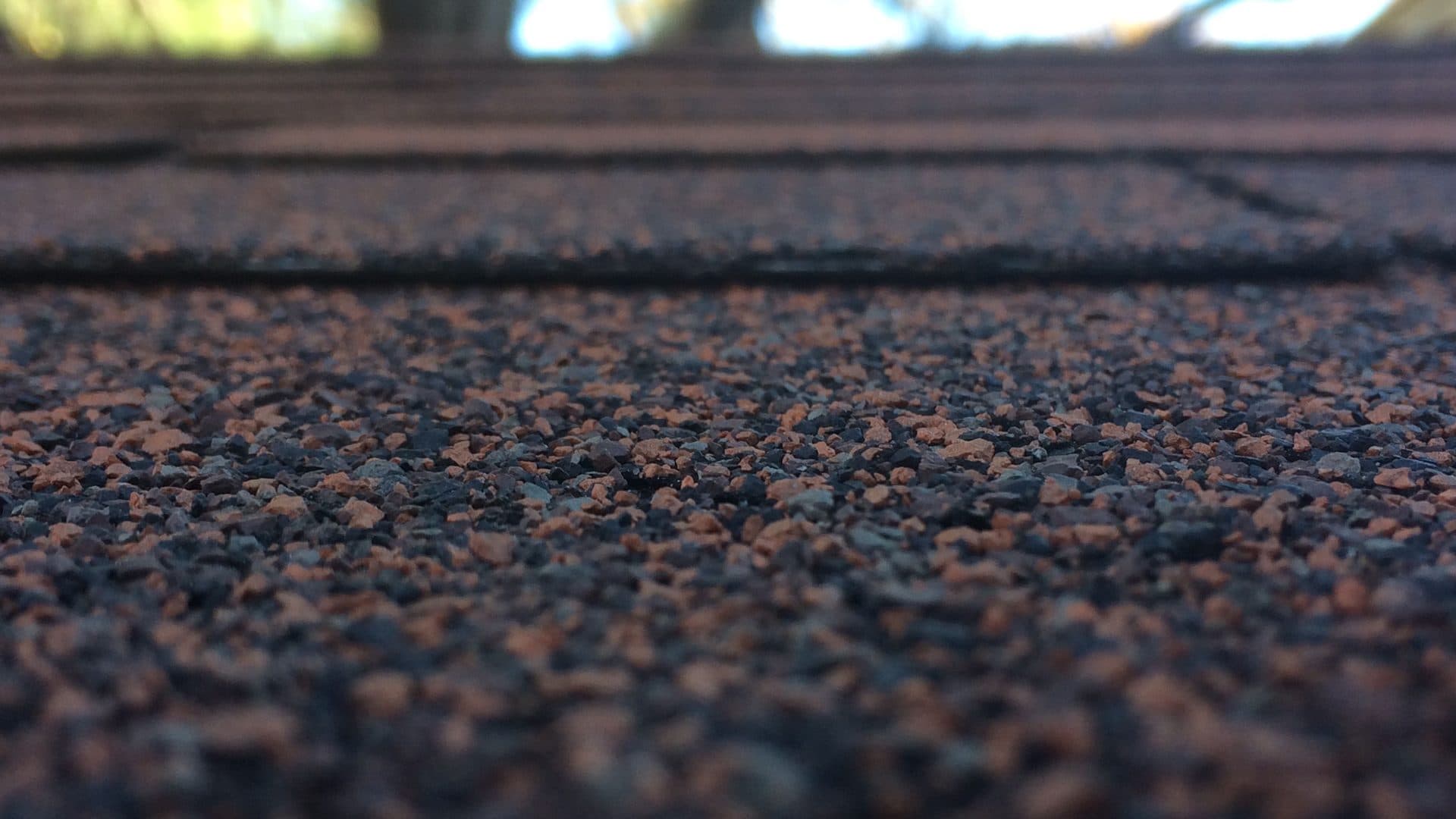 Close-up of asphalt shingles on a home roof, the surface an inspector checks when a storm claim may involve roof insurance fraud
