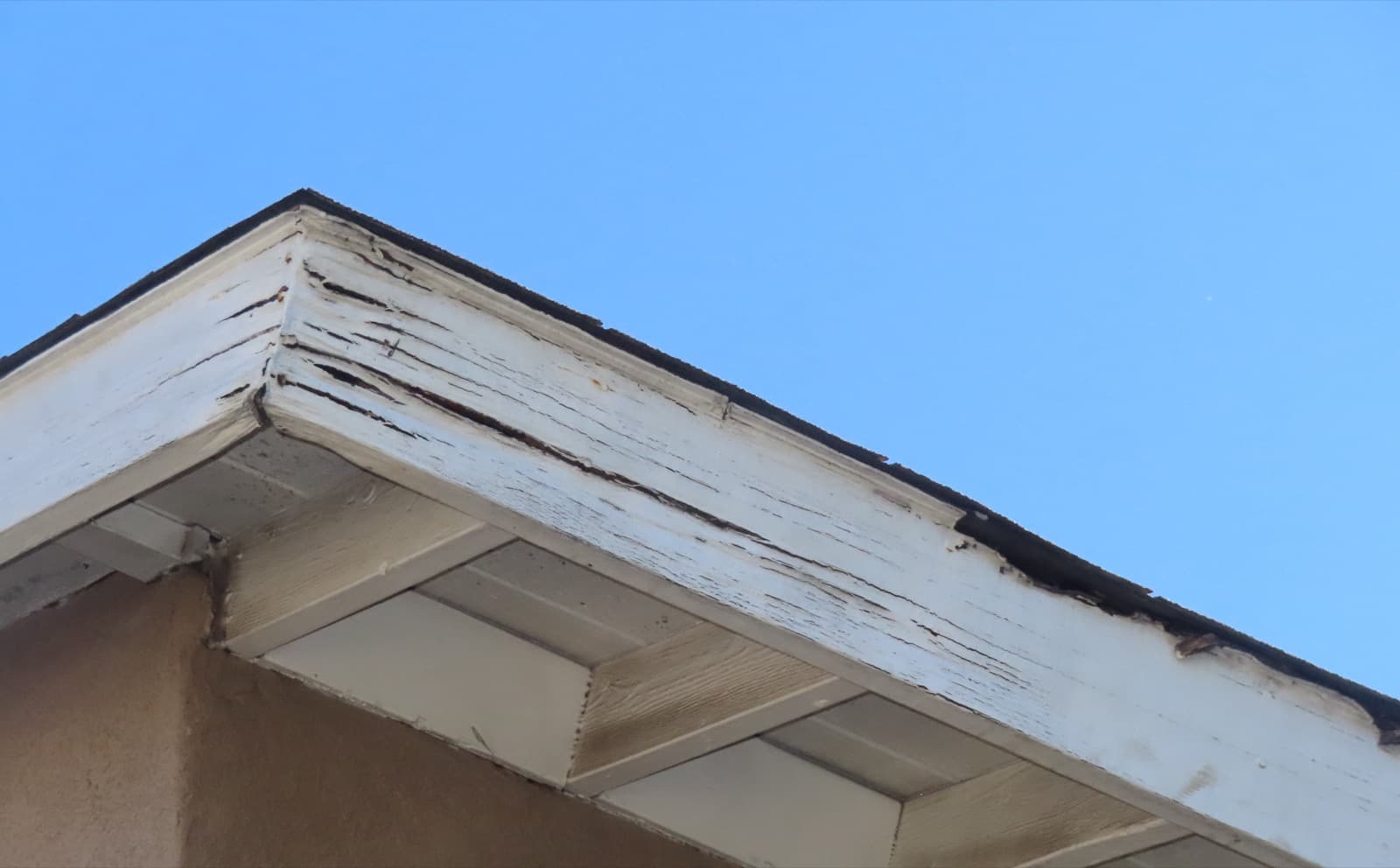 Why Homeowners Need Annual Roof Inspections