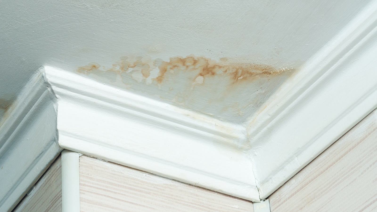 Water stain spreading across a white ceiling beside crown molding
