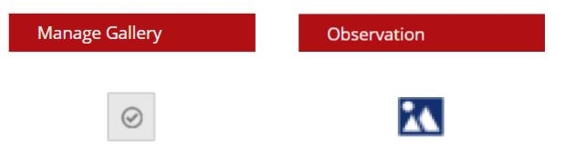 How to take aerial photos with Google Earth - NRCIA