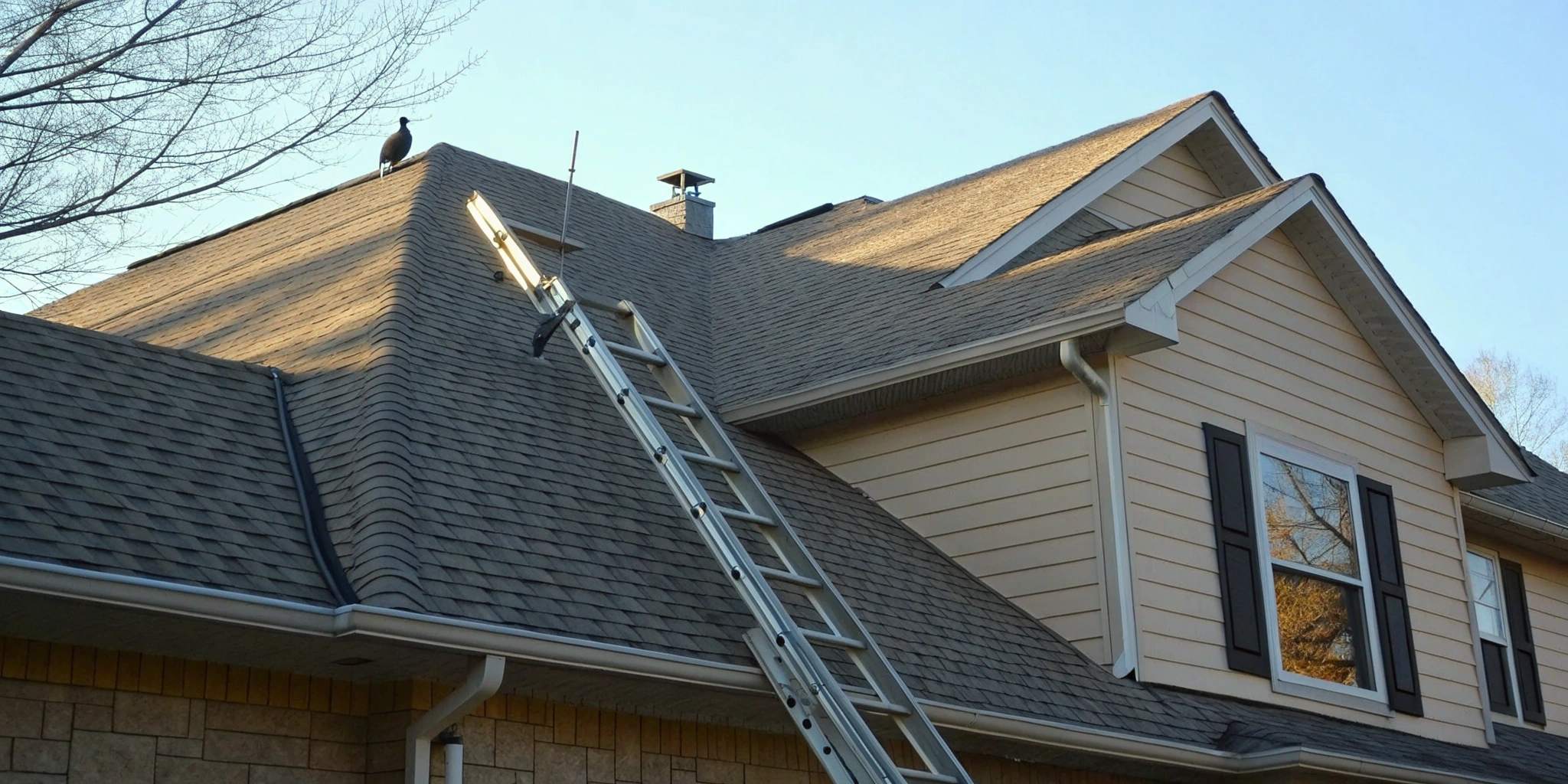 A professional inspects a residential roof as part of a regular maintenance program.