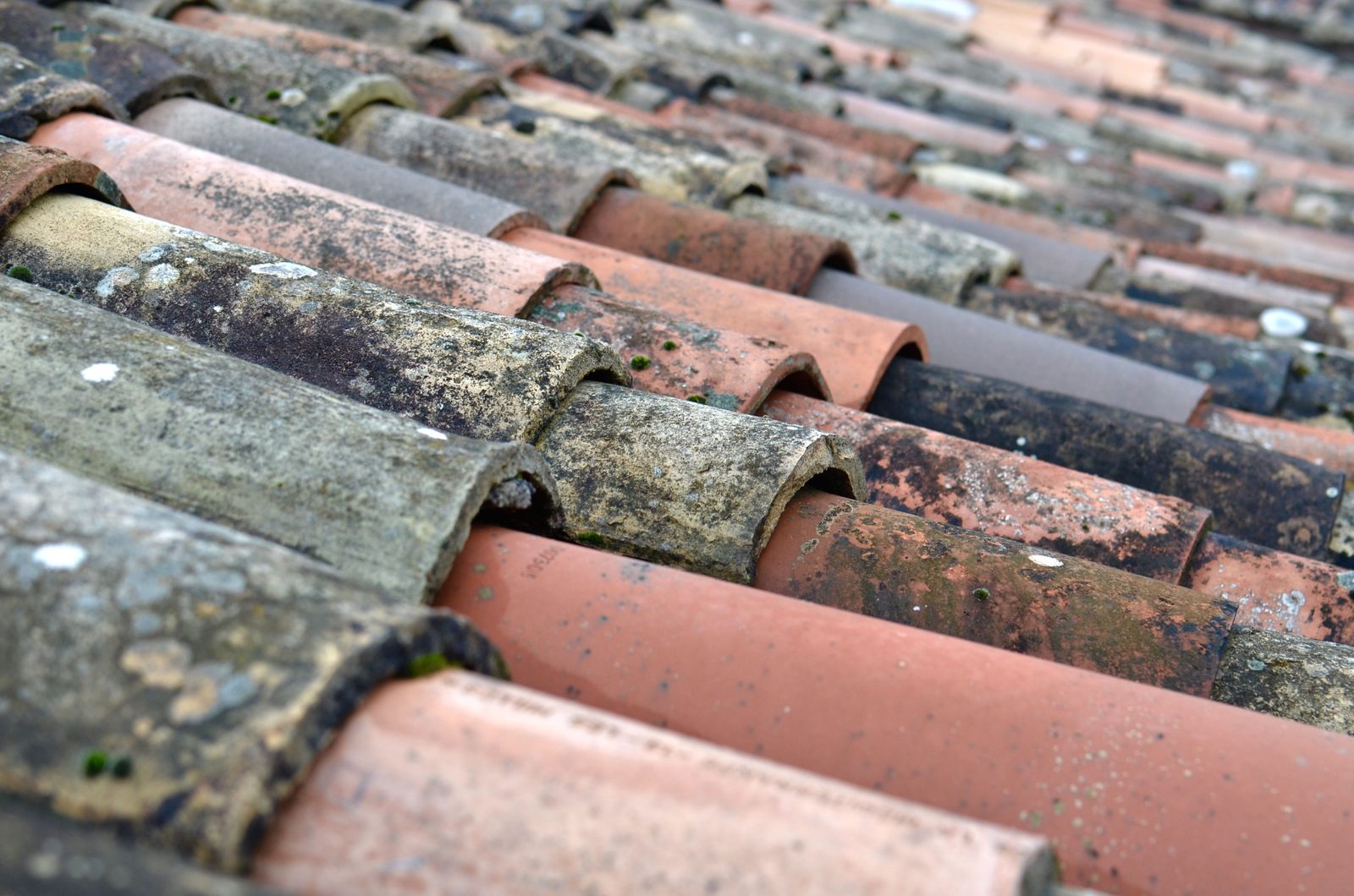 Close-up of weathered clay barrel roof tiles with lichen growth